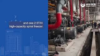 Celebrity Turnkey Frozen Meat Processing Plant | NH₃/CO₂ Refrigeration System | High-Efficiency & Sustainable Net Worth