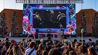 Foam Wonderland in Las Vegas (2026 Recap) News