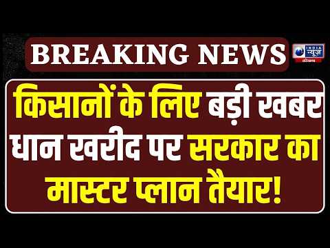 Farmer News: धान किसानों के लिए बड़ी खुशखबरी, Haryana में खरीद की तैयारी पूरी, MSP पर आया बड़ा अपडेट