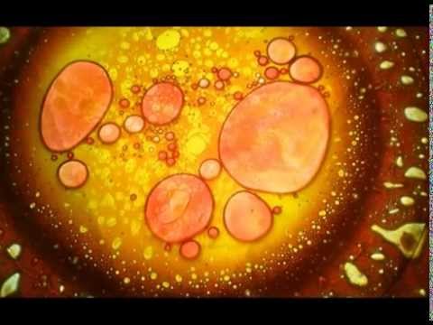 Ananda Shankar - Sagar (ocean)