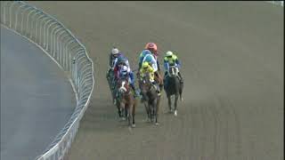 Vidéo de la course PMU PRIX SEA COTTAGE