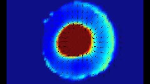 Continuum model of cell adhesion and migration