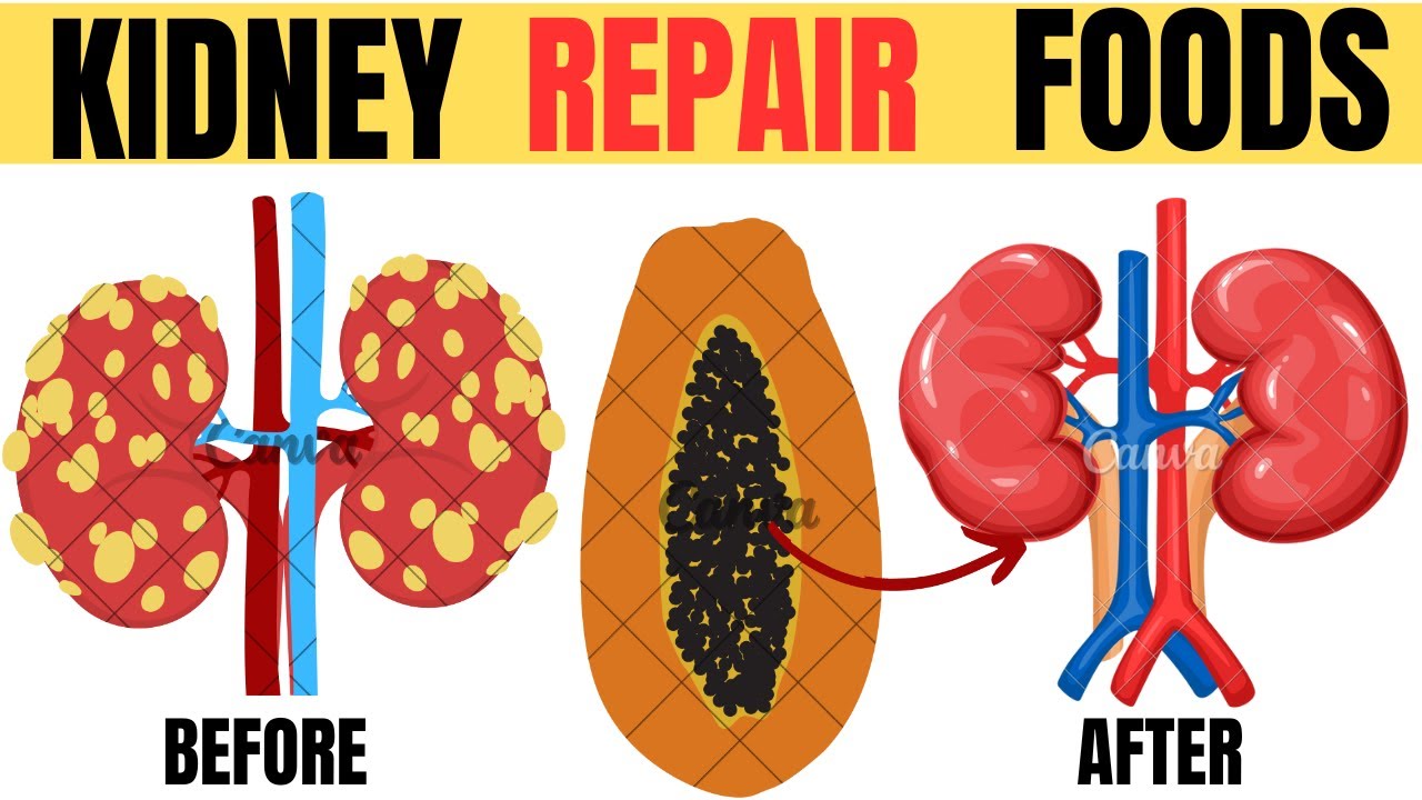 7 Foods That Help Repair Your Kidneys - YouTube