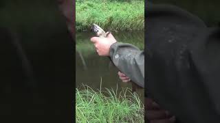 Рыбалка Ловим Рыбу Ленок Жизнь ОТШЕЛЬНИКА в ДЕВСТВЕННОЙ ТАЙГЕ Рыбалка 2025 Сухопит 5авг Охота Сибирь