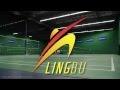 Lingbu badminton demo smash return training mode