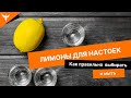 Как правильно мыть лимоны для настоек. Какие лучше выбрать