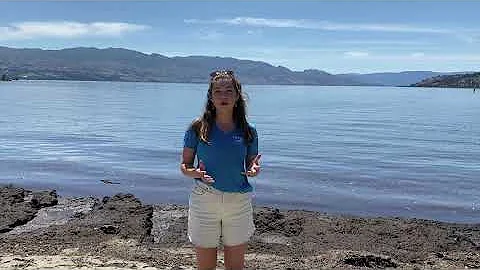 What is an Aquatic Invasive Species?