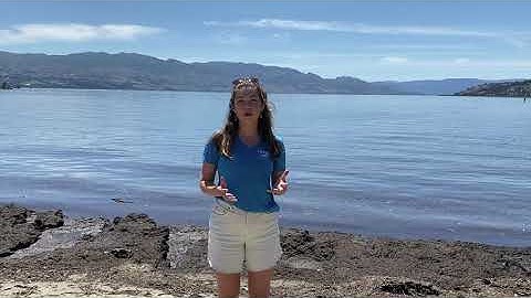 What is an Aquatic Invasive Species?