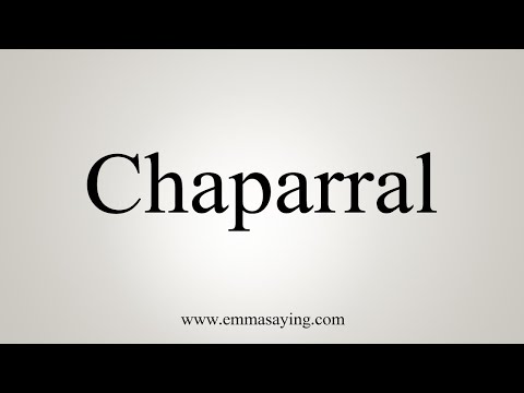 Chaparrals English