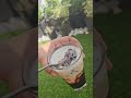 jelly coffee #viralvideo #viralreels #viralshort #viralshorts #viratkohli #viralsong #views #video