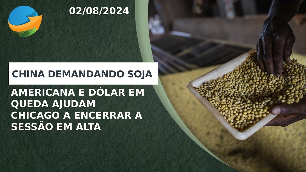 China demandando soja americana e dólar em queda ajudam Chicago a encerrar a sessão em alta