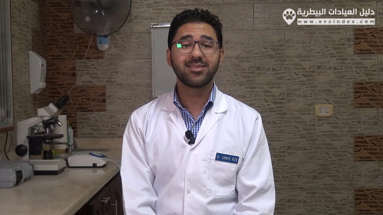 علامات التسمم في القطط وطرق العلاج