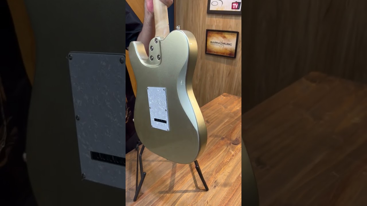 Guitarra Seizi Katana Kabuto Titanium TL | Bag (Capa)