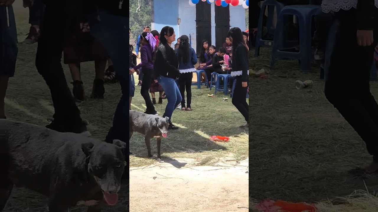 Ovidio music4818 ft aolitario musical  en vivo en cuilco huehuetenango