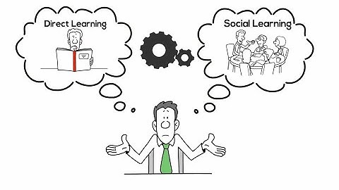 Teaser video: A brain network supporting social influences in human decision-making