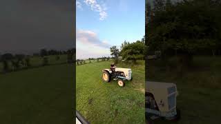 IMG 0086