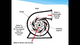 Volute Pump Casing Explained