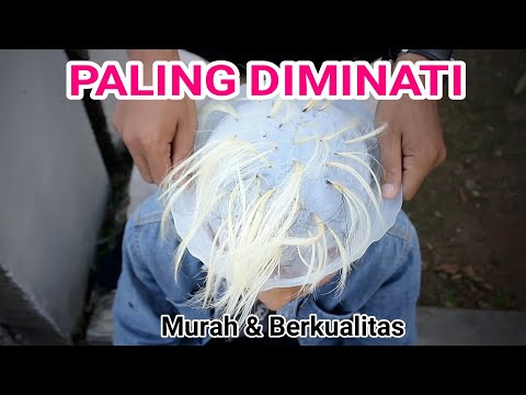 Video: Christina Asmus Yang Pirang Mengecat Rambutnya Agar Sesuai Dengan Sayap Gagak