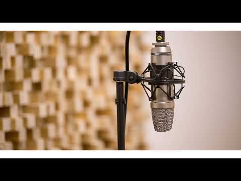 Philip Bailey, Phil Collins - Easy Lover (AI) (vocals backing track)