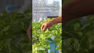 Your EC reading is more than just a number.