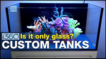Ep.9 - Who is going to build your dream tank? Consider these aquarium manufacturers.  | BRS360