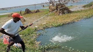 Big Fishes hunting &amp; Catching by Professional Fisherman|Unbelievable Hook fishing video