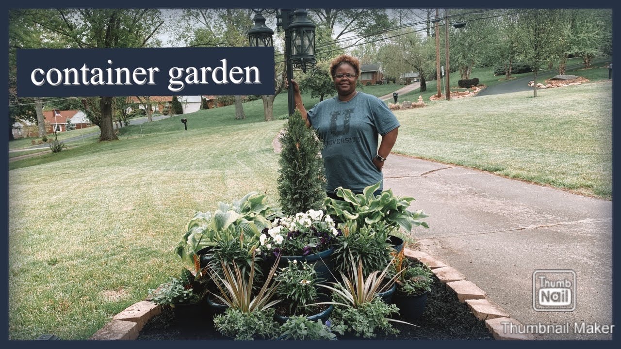 container garden- under the sun