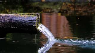 Шум ручья звук воды для сна/The sound of a stream the sound of water for sleep