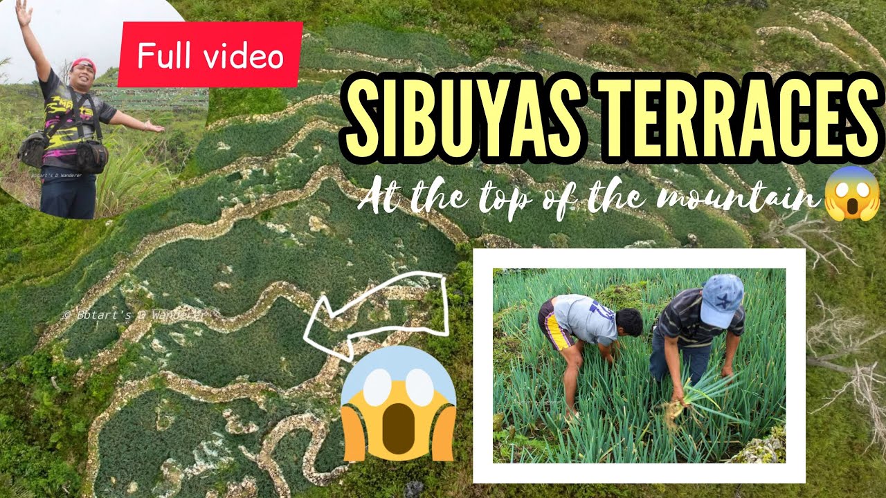 Spring Onion Terraces: Located in Barangay Catolohan, these scenic agricultural terraces