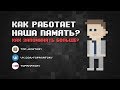 Как работает наша память? | Как запоминать больше?