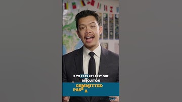 What happens at a MUN Conference? 🇺🇳