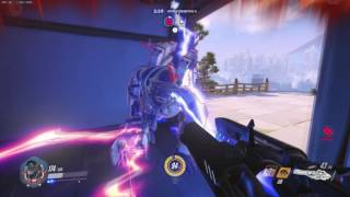 Two Gorillas Fighting To Be The Alpha Male Of The Group