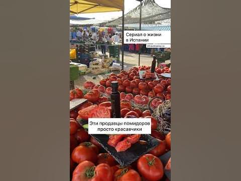 Как в Испании продают помидоры для богатых - YouTube
