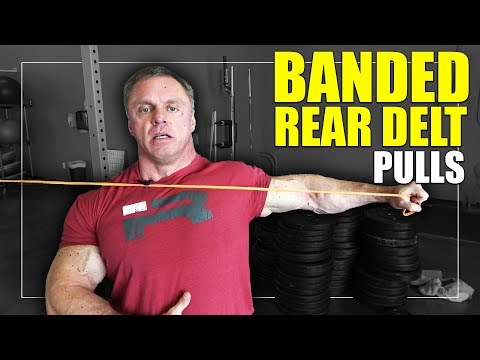 Exercise Index - Rear Delt Band Pulls
