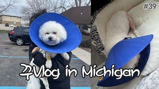 꾸vlog #39: 꾸부의 두번째 TPLO 십자인대 수술