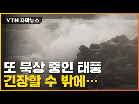 자막뉴스 12호 태풍 무이파 발생 긴장할 수 밖에 없는 상황 YTN 