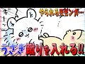 【ちいかわ】うさぎにちょっかいをかけるモモンガ…しかしうさぎのパワーに返り討ちにされてしまう…【最新話】