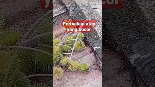 perbaikan atap bocor #shortsbeta