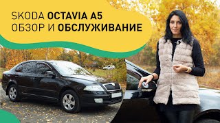 видео: Skoda Octavia A5: обзор и особенности обслуживания.Крутой седан до 10 тыс уе или мешок с проблемами? картинка: Skoda Octavia A5: обзор и особенности обслуживания.Крутой седан до 10 тыс уе или мешок с проблемами?
