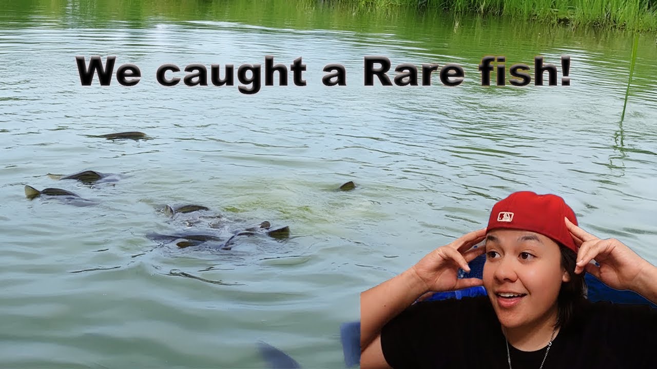 My first time fishing! (Day 1 Florida)