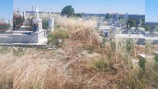 Ορεστιάδα: Ζούγκλα από χόρτα στα νέα κοιμητήρια – Τι απαντά ο Δήμος στις καταγγελίες πολιτών