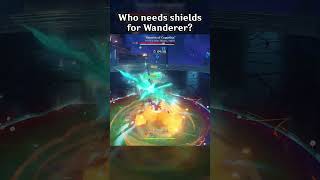 WHO NEEDS SHIELDS FOR WANDERER?