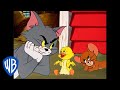 Tom & Jerry | Quack, Quack, Little Quacker! | Classic Cartoon Compilation | WB Kids