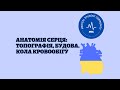 АНАТОМІЯ СЕРЦЯ топографія будова Кола кровообігу АНАТОМІЯ СЕРЦЯ топографія будова Кола кровообігу