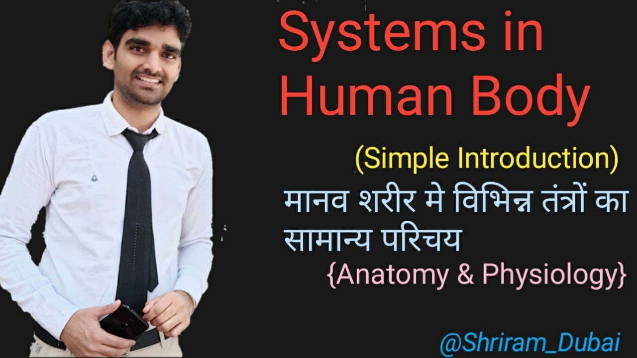 Systems in human body || anotomy and physiology || Part - 2 - YouTube