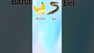 Literal vs Reality English Compound Words Part 89#subscribemychannel #viral #vocabulary #like