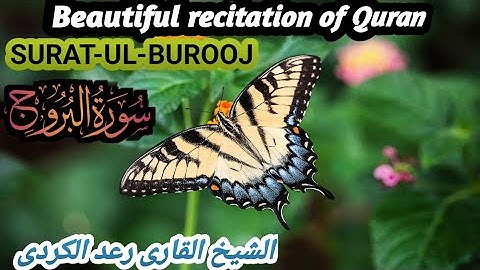 سورة البروج بأداء هادئ وغريب بصوت القارئ رعد الكردي