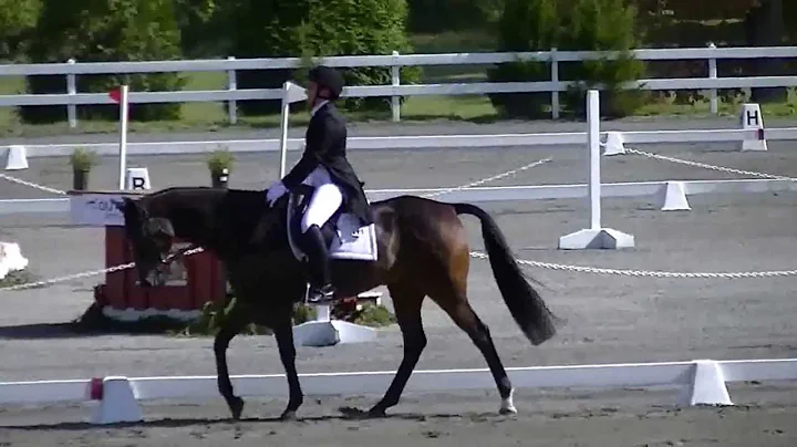 Katherine Groesbeck & Oz The Tin Man Dressage