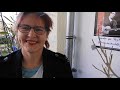 Marias Lied und Irgendwo auf der Welt, Steinlandpiraten