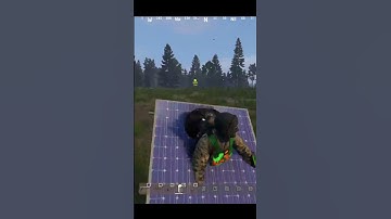 DayZ Physics